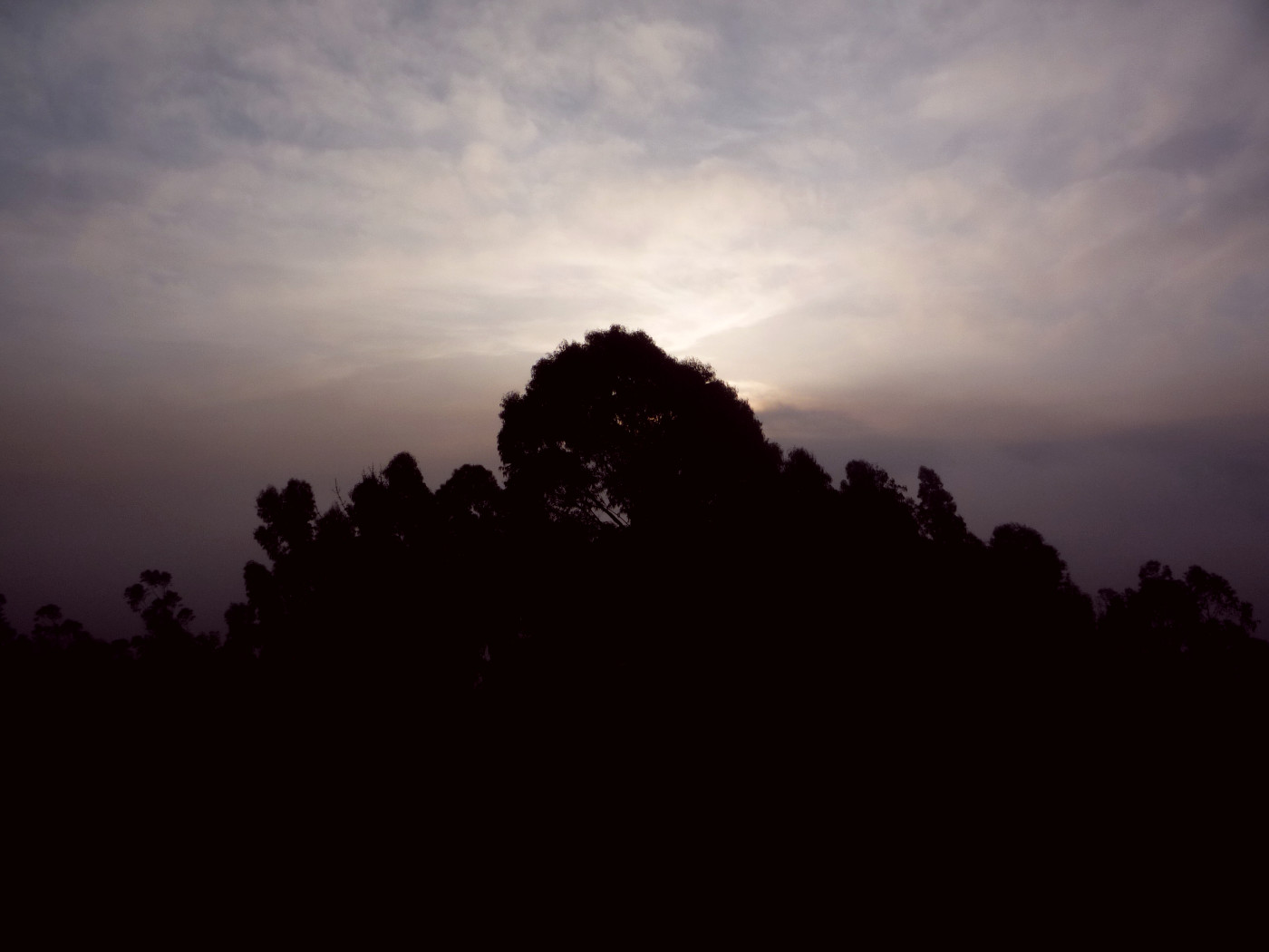 Sunrise behind trees