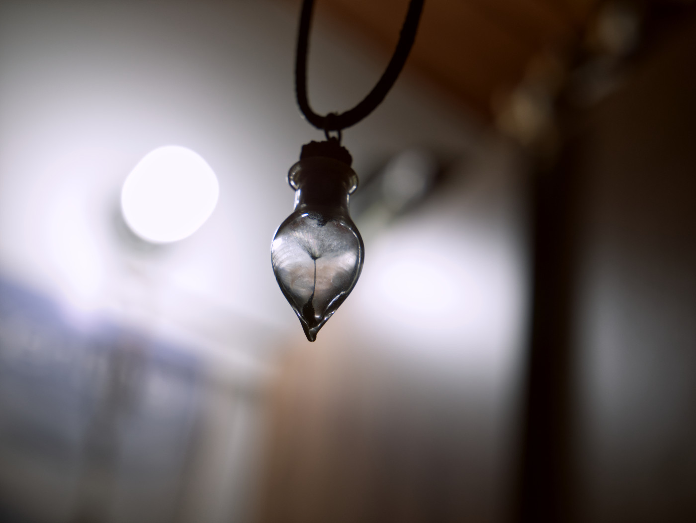 Dandelion petal inside a necklace