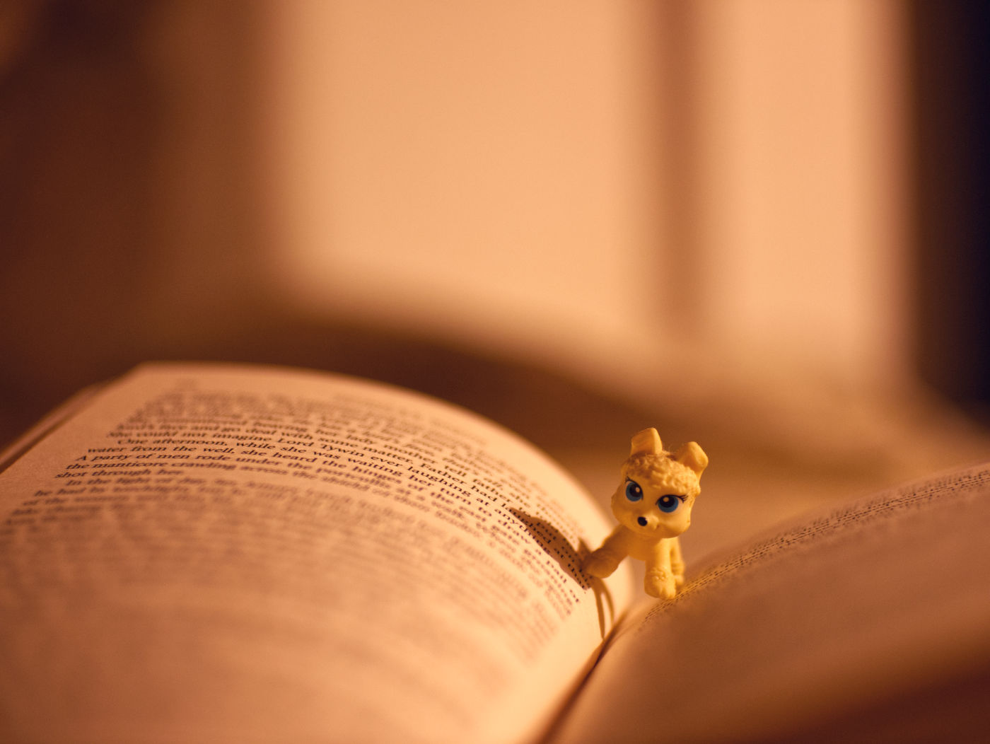 Toy dog inside a book